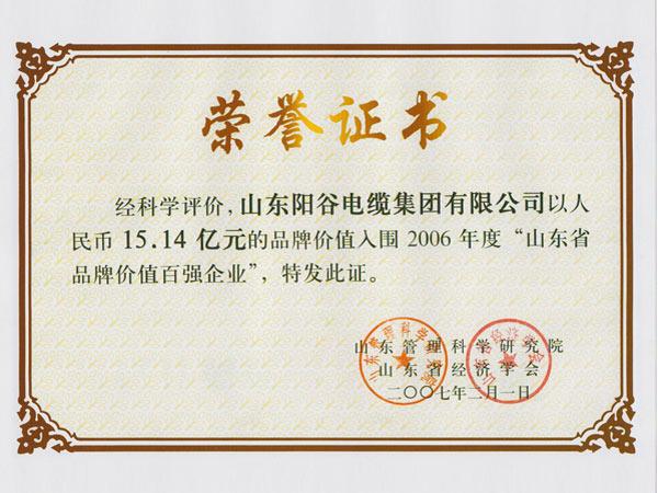 山東省品牌價值百強企業(yè)